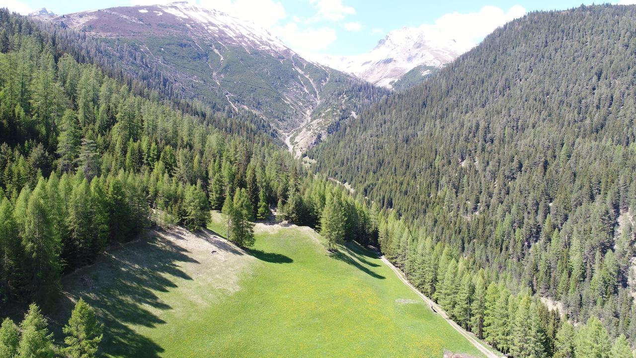 Hotel Sonnenhalde Wiesen Bagian luar foto